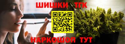 индика Рыбинск