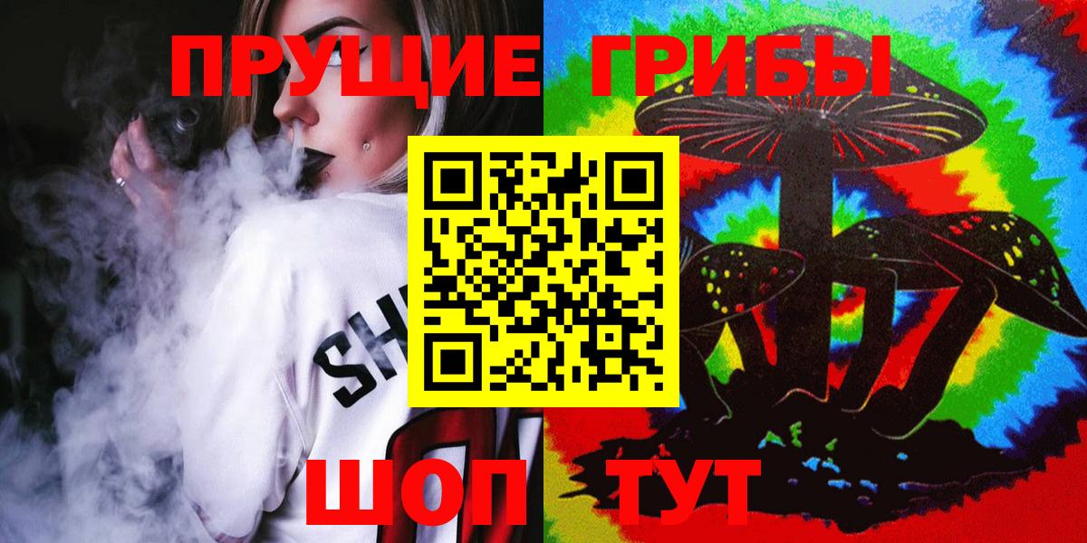 Псилоцибиновые грибы Psilocybe  Вход с VPN  Сухой Лог  Псилоцибиновые грибы мицелий 