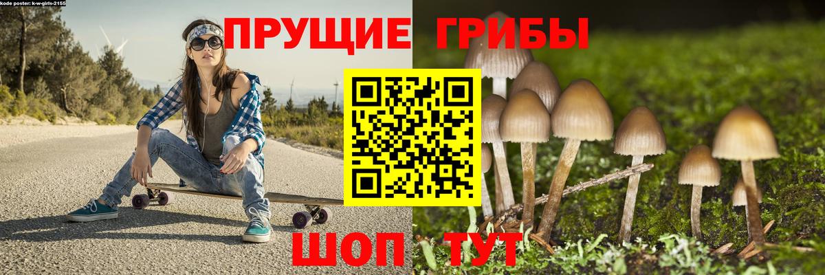 Псилоцибиновые грибы Psilocybe Сухой Лог